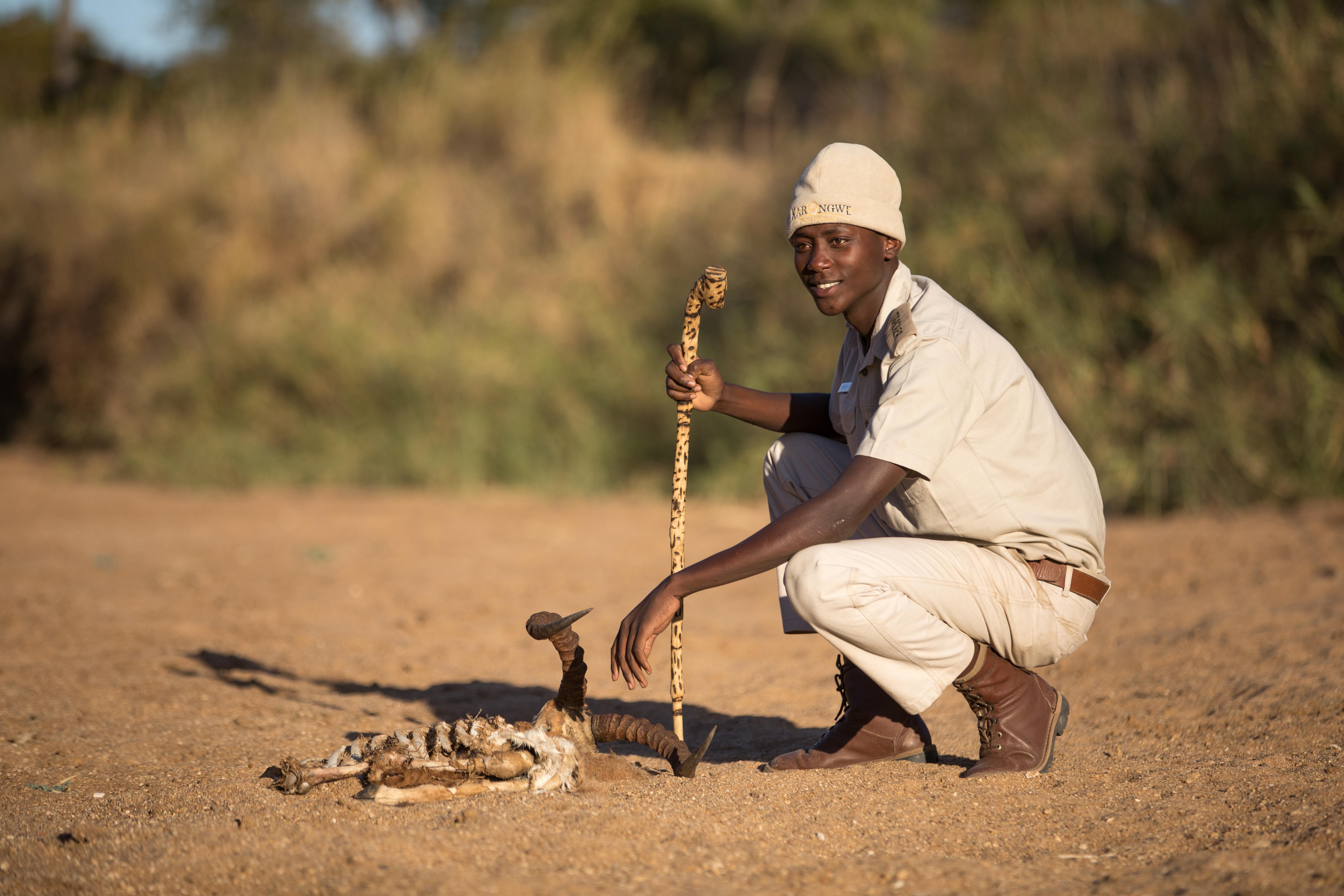 Karongwe Portfolio- Shiduli Private Game Lodge Karongwe Game Reserve Kültér fotó