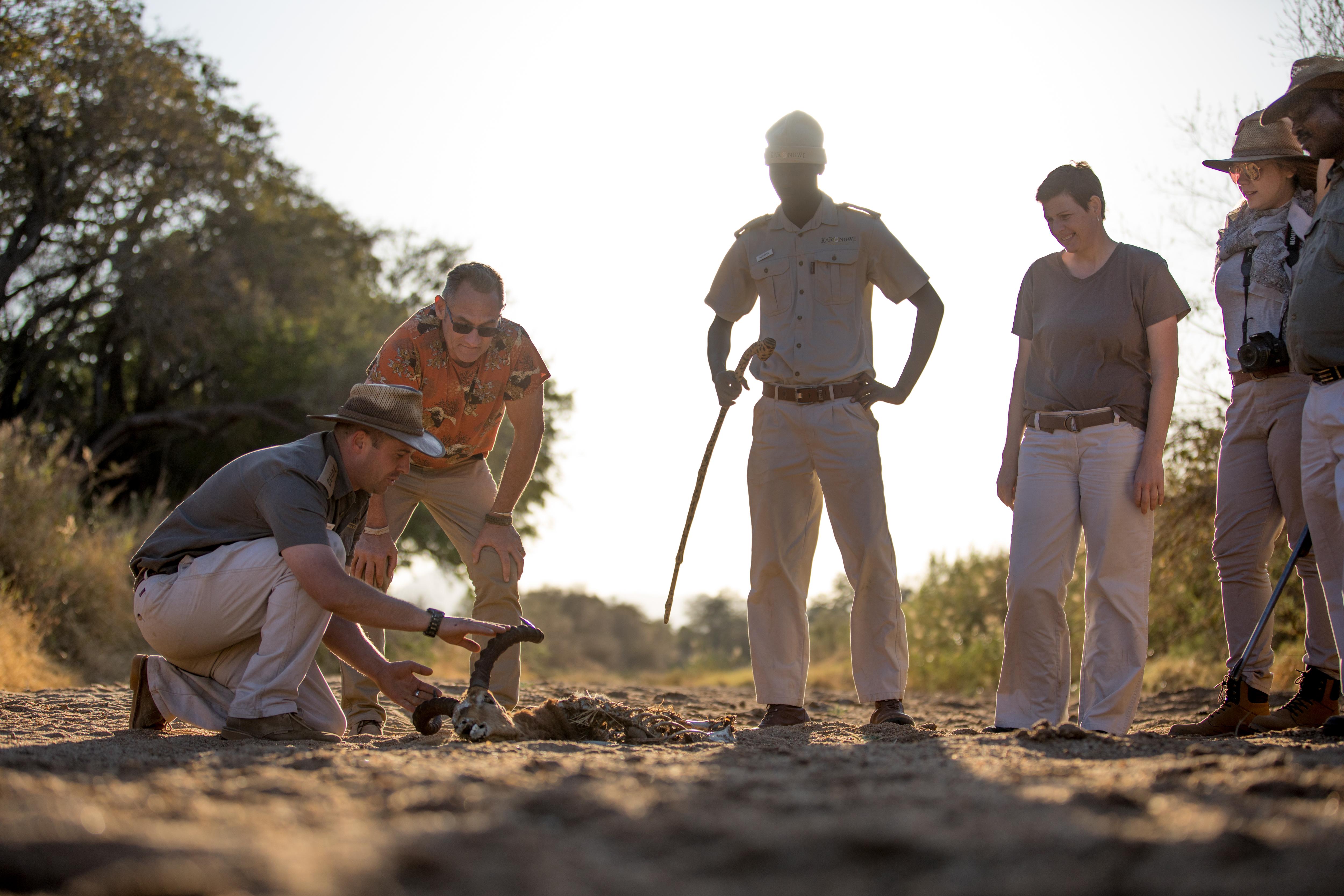 Karongwe Portfolio- Shiduli Private Game Lodge Karongwe Game Reserve Kültér fotó