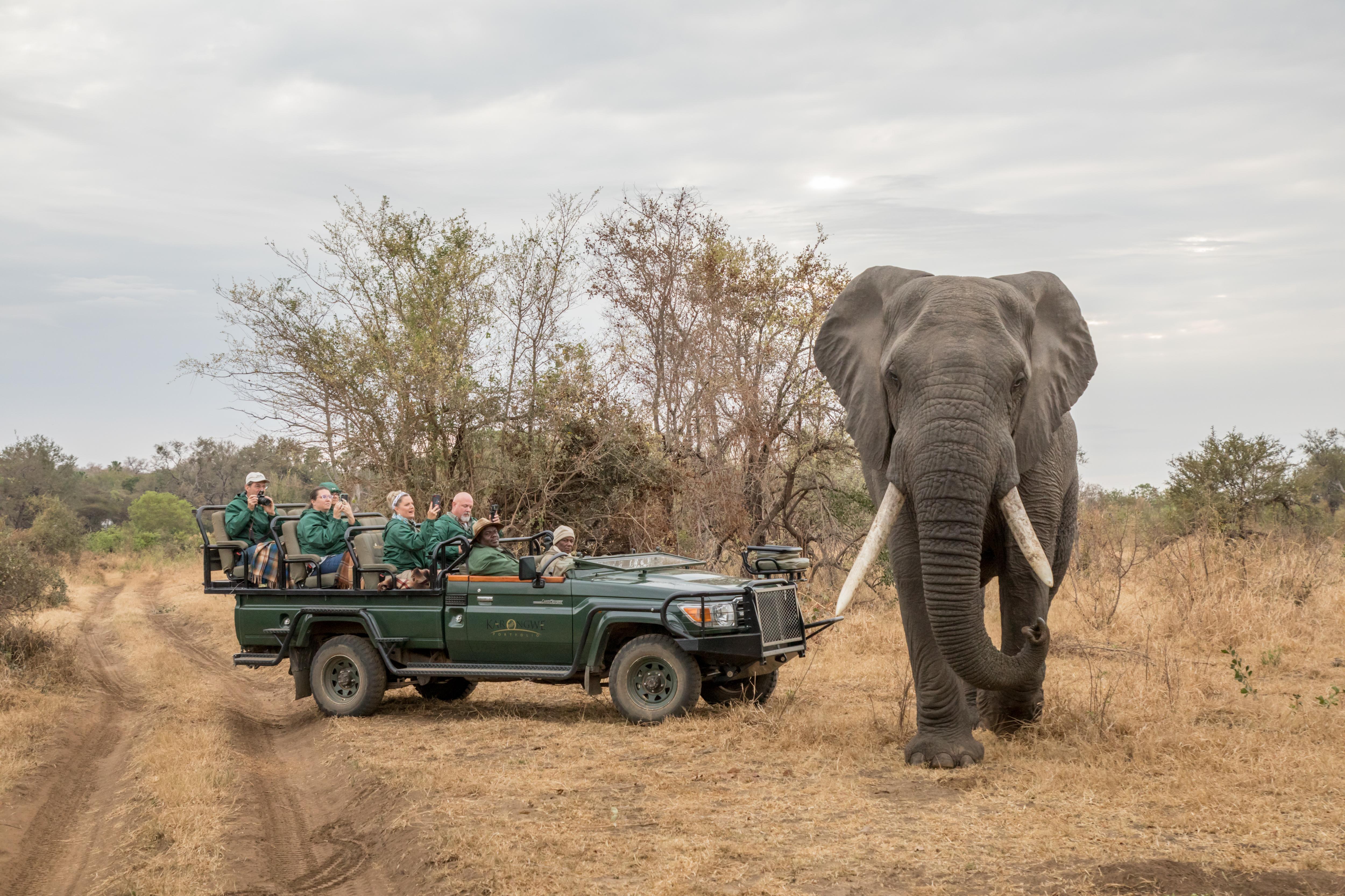 Karongwe Portfolio- Shiduli Private Game Lodge Karongwe Game Reserve Kültér fotó