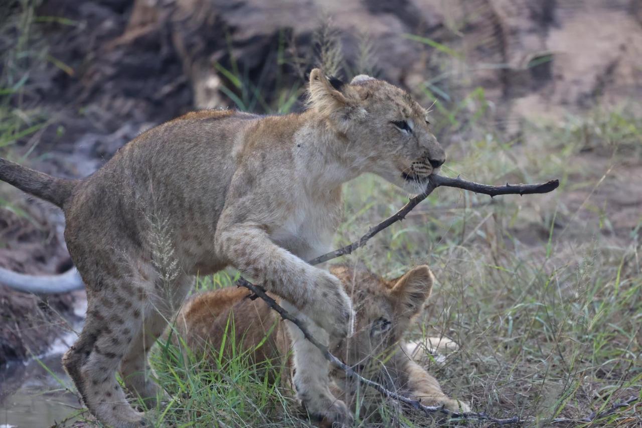 Karongwe Portfolio- Shiduli Private Game Lodge Karongwe Game Reserve Kültér fotó