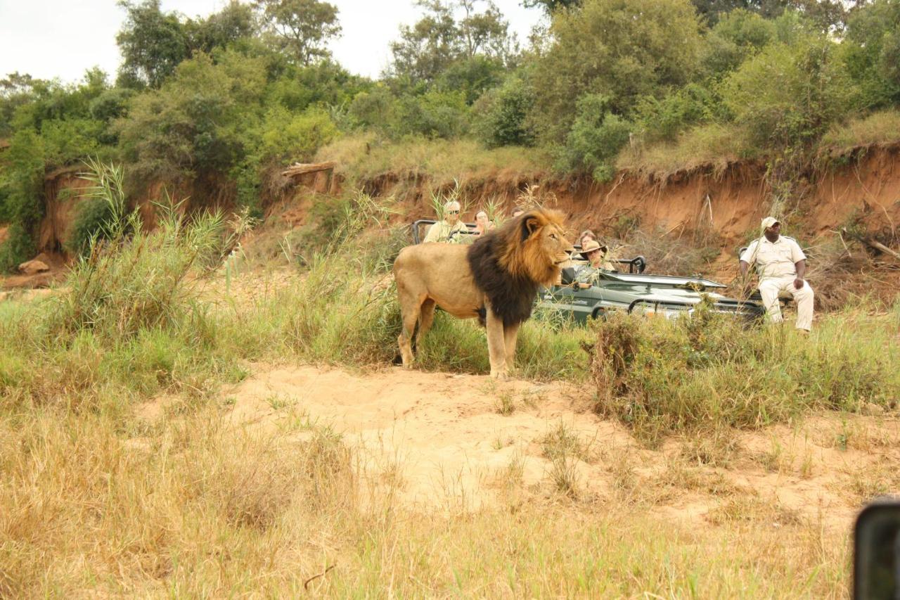 Karongwe Portfolio- Shiduli Private Game Lodge Karongwe Game Reserve Kültér fotó