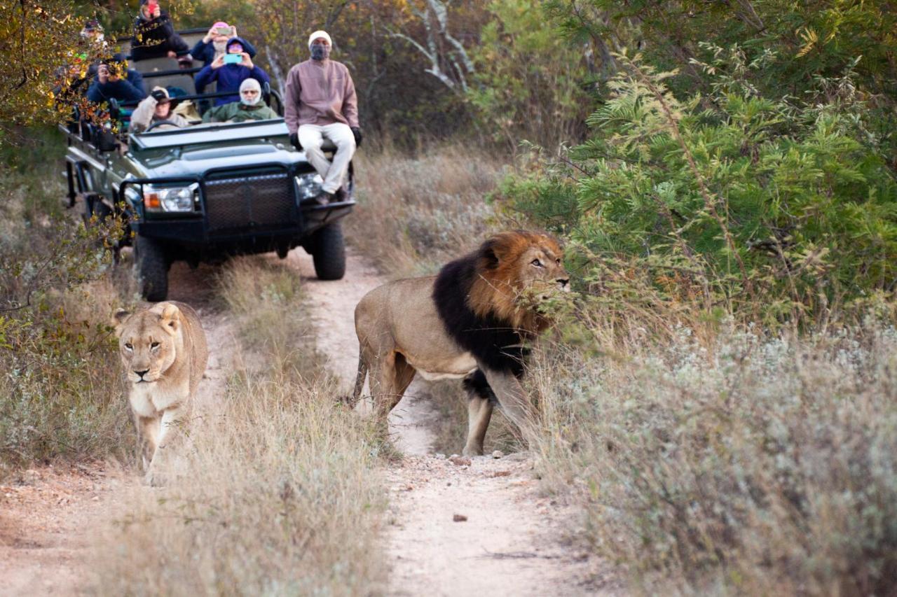 Karongwe Portfolio- Shiduli Private Game Lodge Karongwe Game Reserve Kültér fotó