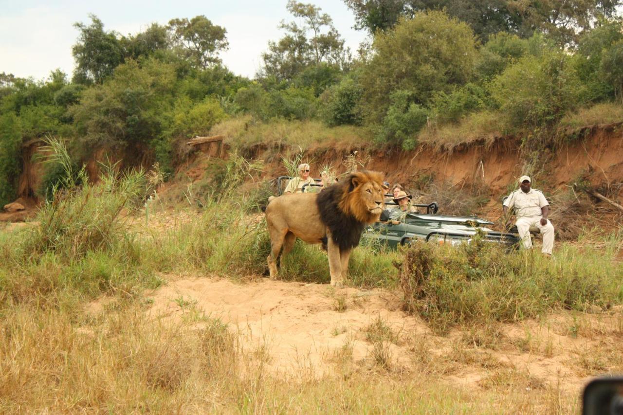 Karongwe Portfolio- Shiduli Private Game Lodge Karongwe Game Reserve Kültér fotó