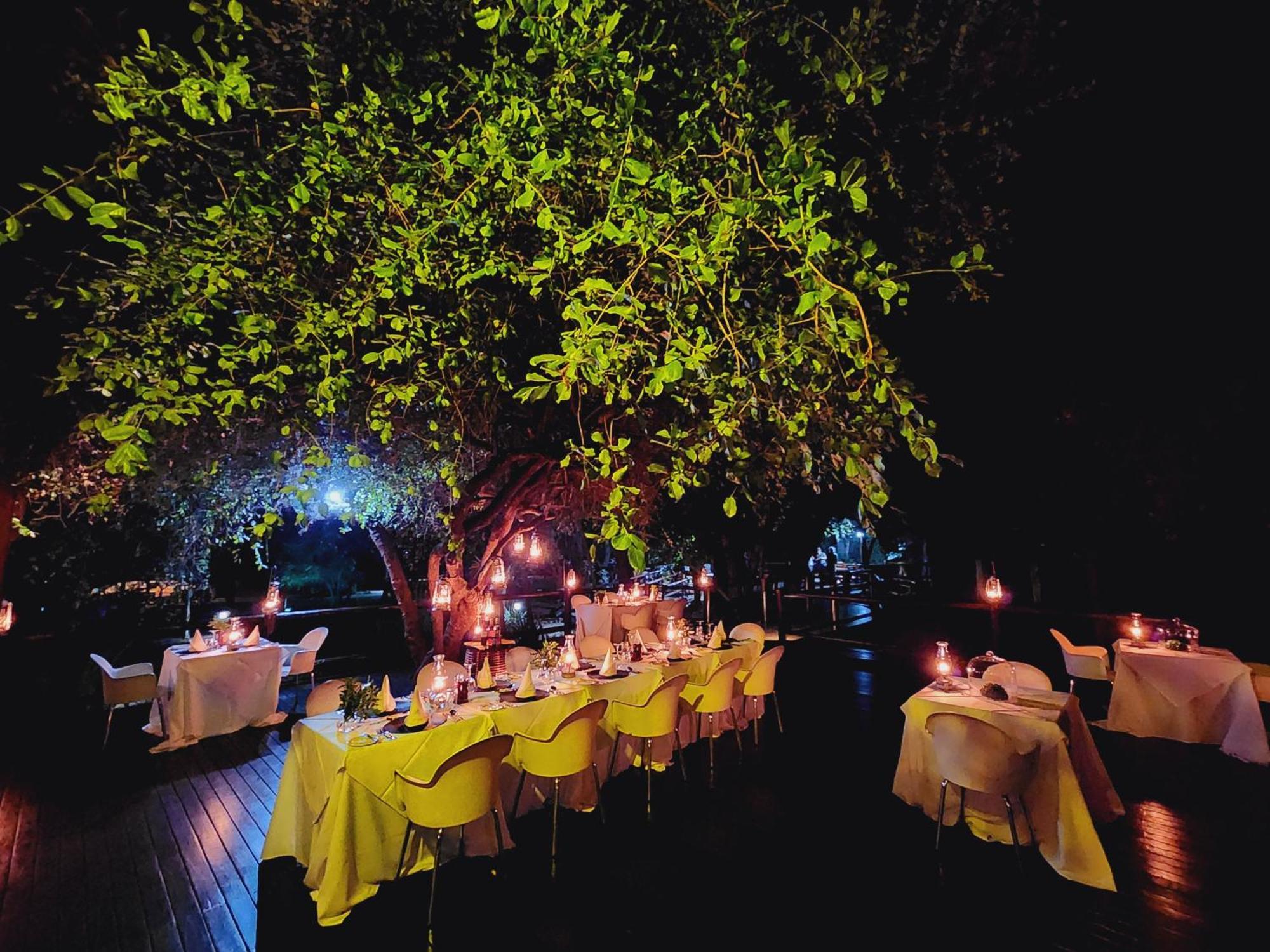 Karongwe Portfolio- Shiduli Private Game Lodge Karongwe Game Reserve Kültér fotó