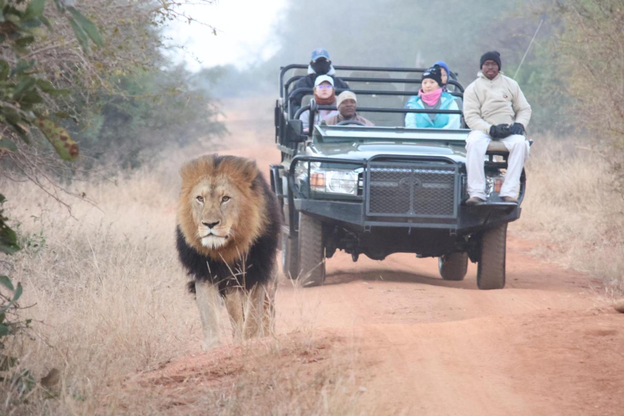 Karongwe Portfolio- Shiduli Private Game Lodge Karongwe Game Reserve Kültér fotó