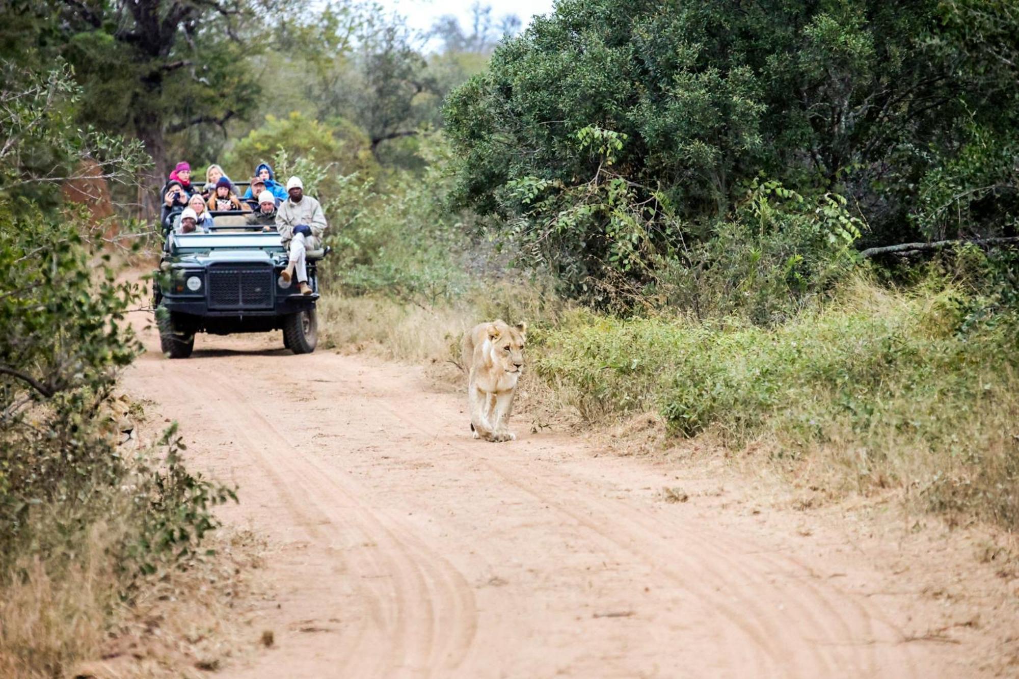 Karongwe Portfolio- Shiduli Private Game Lodge Karongwe Game Reserve Kültér fotó