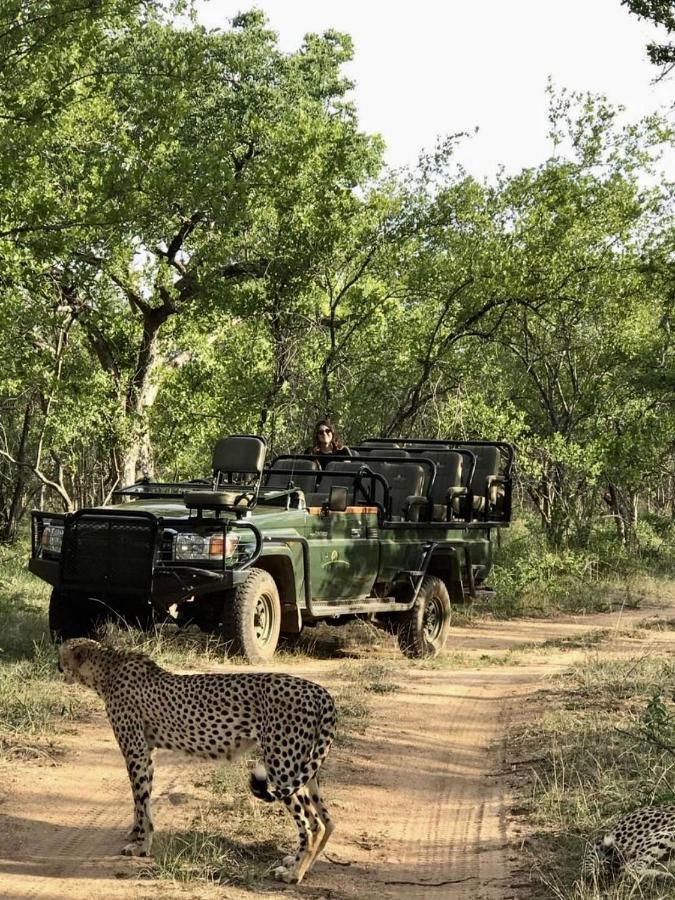 Karongwe Portfolio- Shiduli Private Game Lodge Karongwe Game Reserve Kültér fotó